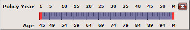 FS5 - Sliding Year and Age Scale